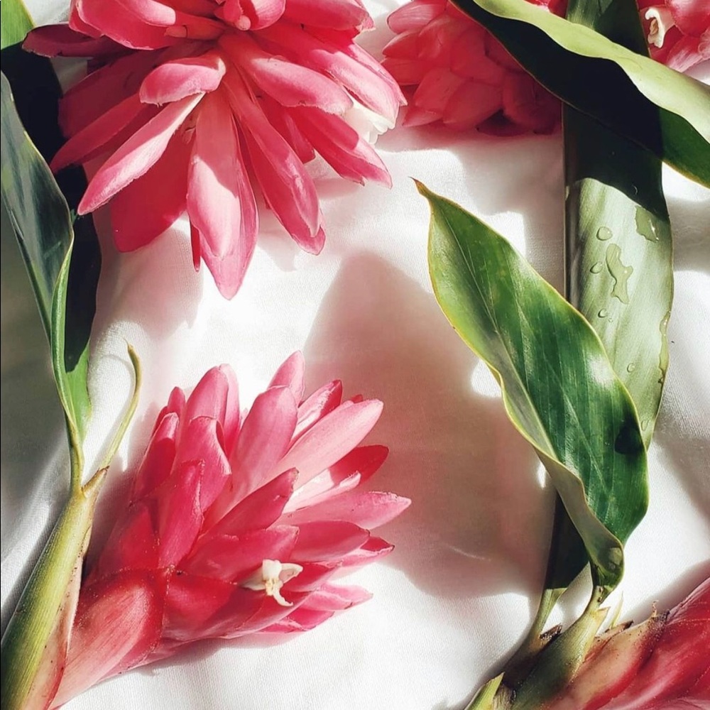 Meet your Posher, Mariah